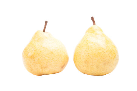 Two pears on a white backgroundの写真素材