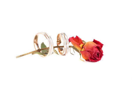 Rose and wedding rings isolated on white backgroundの写真素材