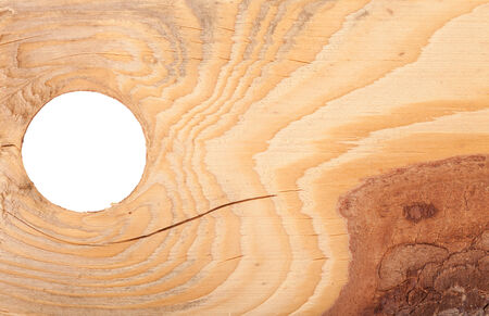 wood texture with bark and round holの写真素材