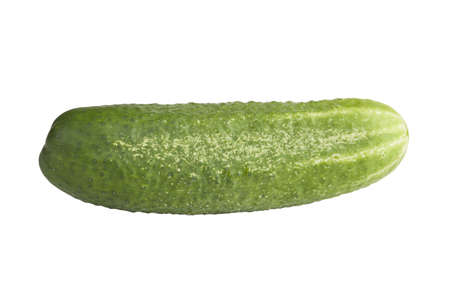 A fresh and tasty green vine ripened garden grown cucumber isolated on white.の写真素材