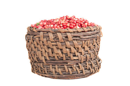berries a cowberry in the old basket isolated on white backgroundの写真素材