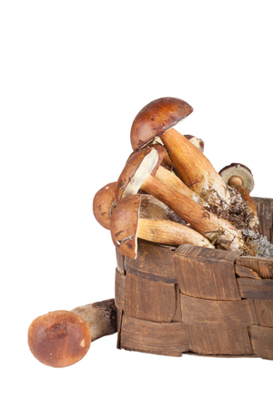 freshly picked mushrooms in an old wicker basket isolated on white backgroundの写真素材