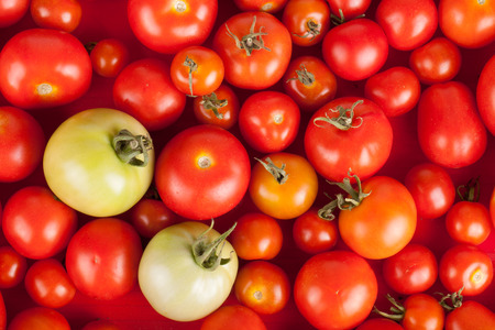 freshly picked red tomatoes in a box plus two greenの写真素材
