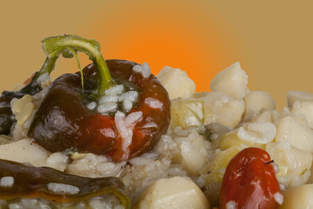 vegetable stew with sweet peppers and rice on a plate, isolatedの写真素材