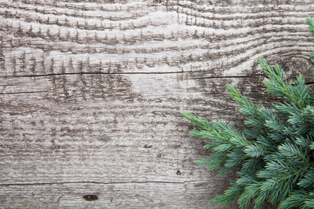 Old wooden background with pine branch, image of flooring boardの写真素材