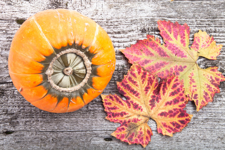 autumn background with pumpkin on wooden boardの写真素材