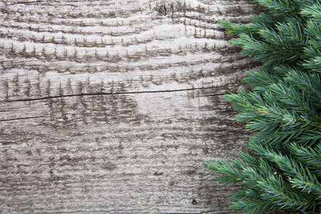 Old wooden background with pine branch, image of flooring boardの写真素材