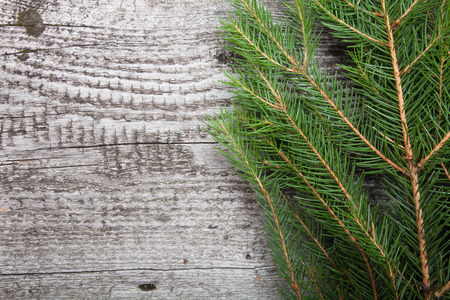 spruce twig on a wooden backgroundの写真素材