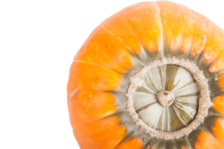 yellow pumpkin isolated on white backgroundの写真素材