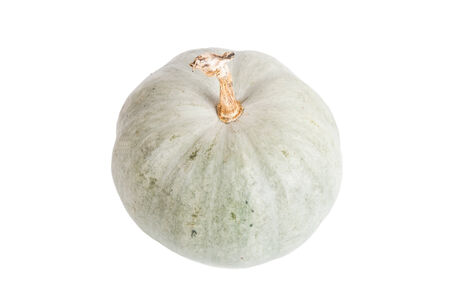 Green pumpkin isolated on white backgroundの写真素材