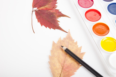 Watercolor box, pencil and leaves on light backgroundの写真素材
