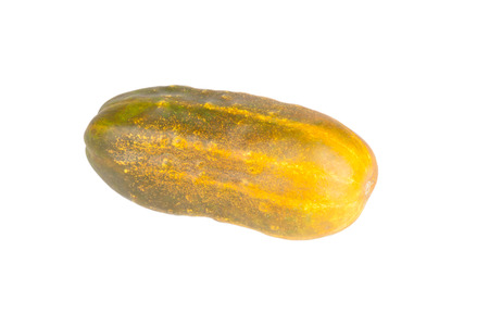 overripe cucumber for seed isolated on white backgroundの写真素材