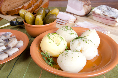 Herring, potato, bread, pickles and bacon with plates on a green napkinの写真素材