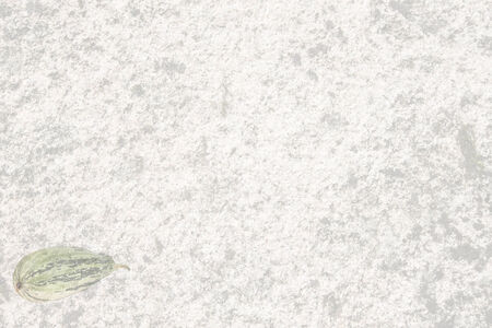 Textured old stone with vegetable marrowの写真素材