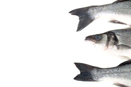 Three fresh sea bass on a light background. Head and two tails. With space for text