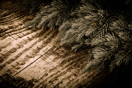 Christmas tree strewn on old wood. Tintedの写真素材