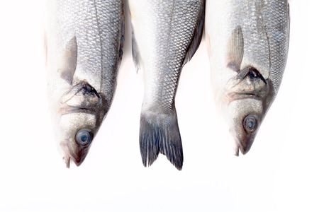 Three fresh sea bass on a light background. tails and two heads. With space for textの写真素材