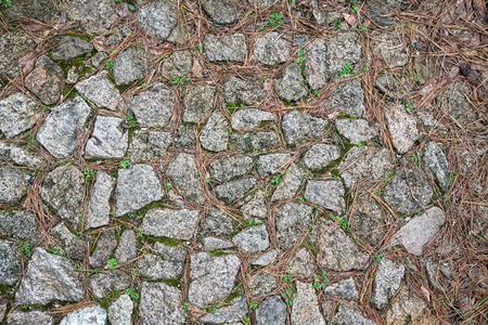 texture of natural stone and pine needlesの写真素材