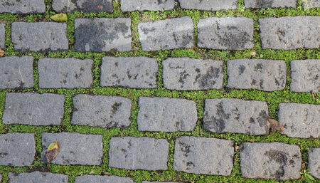 old paving stones with grass. backgroundの写真素材