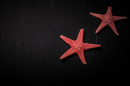 Red starfishes on the old black shabby background. Toned.の写真素材