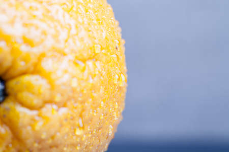 Orange with water drops on the skin close-up on a light background. Shallow depth of field. Toned.の写真素材