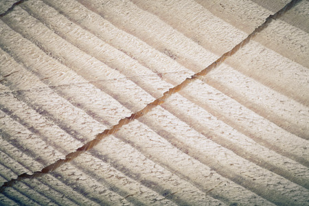 Cracked heartwood. Pine. tintedの写真素材