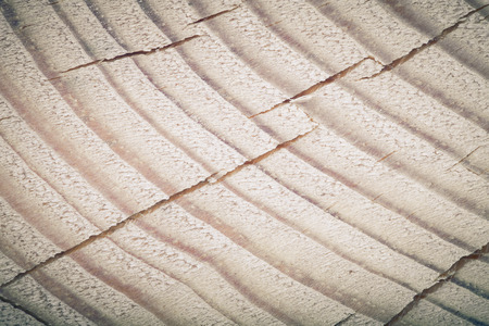 Cracked heartwood. Pine. tintedの写真素材