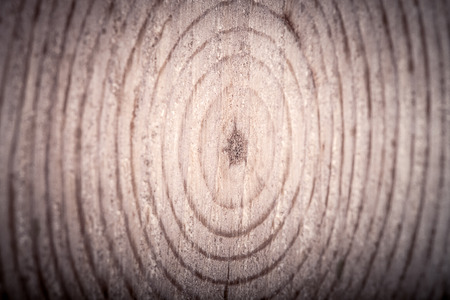 Cracked heartwood. Pine. tintedの写真素材
