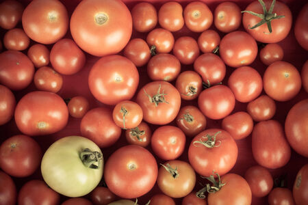 background of red tomatoes and green one.の写真素材