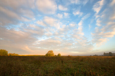 Beautiful clouds over the field near the forest. Summer.の写真素材