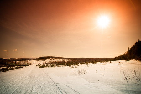Snow-covered field near forest and blue sky. Winter. Toned.の写真素材