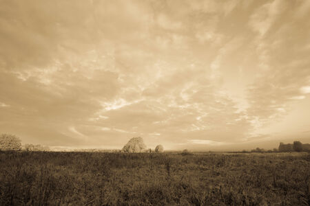 Beautiful clouds over the field near the forest. Summer. Tonedの写真素材