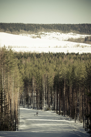 Race on dogs on the track in the winter forest. Toned.の写真素材