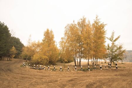 Track racing in the autumn forest. Landscape. Toned.の写真素材