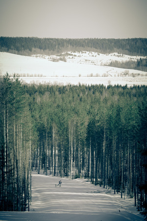 Race on dogs on the track in the winter forest. Toned.の写真素材