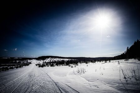 Snow-covered field near forest and blue sky. Winter. Toned.の写真素材