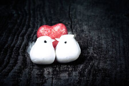 Couple of white pigeons with shiny red heart on old wooden background. Toned.の写真素材
