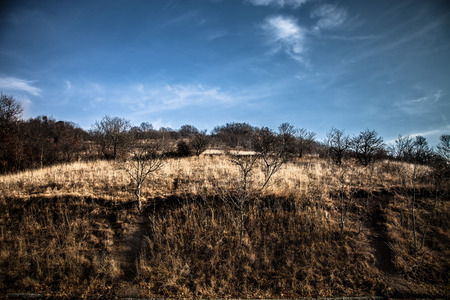 Autumn hilly landscape. Clear blue sky. Toned.の写真素材