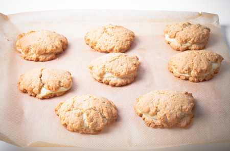 Cookies with cottage cheese - sochnik on baking paper. Toned.の写真素材