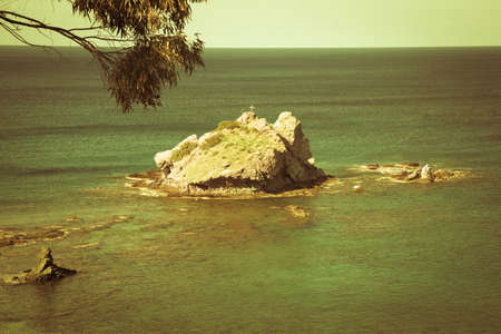 Trees hanging over the beautiful colored sea. Polis, Cyprus.の写真素材