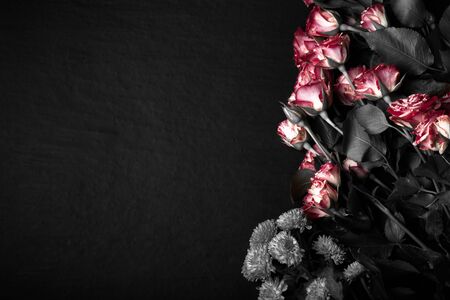 Roses with a lot of leaves on a black background. Space for text. Roses.の写真素材