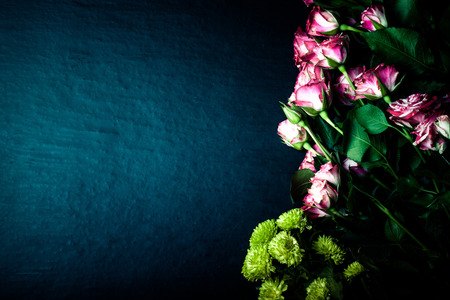 Roses with a lot of leaves on a black background. Space for text. Roses.の写真素材