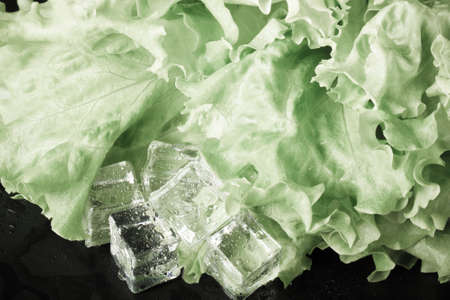 Green salad and ice cubes on black wet table. Selective focus. Toned.の写真素材