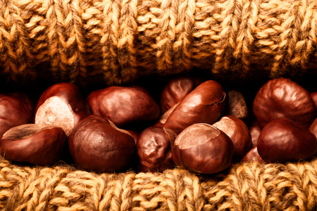 Chestnuts in a knitted hat. Toned.の写真素材