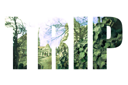 Word TRIP over Climbing plant on the background of the historic building and the blue sky. Toned.