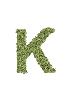 The letter from the alphabet of arugula.の写真素材