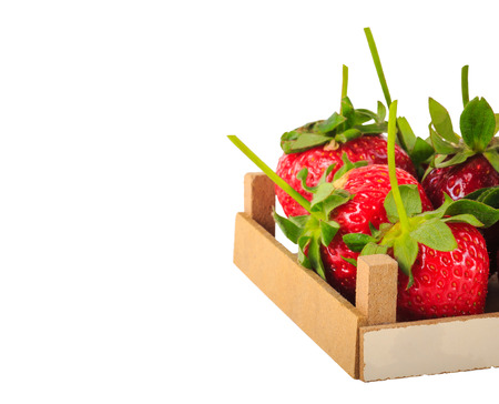 Ripe strawberry isolated on white background.の写真素材