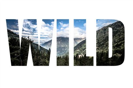 Word WILD over Forest, mountains and clouds. Landscape. Andorra. Toned.の写真素材