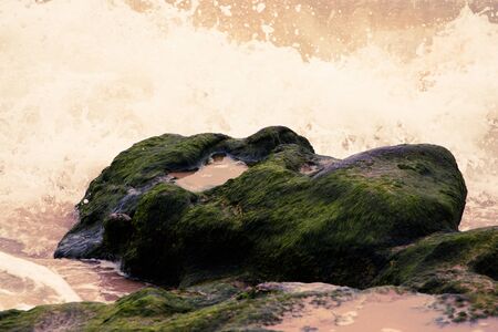 Waves breaking on the stone covered with seaweed. Tinted.