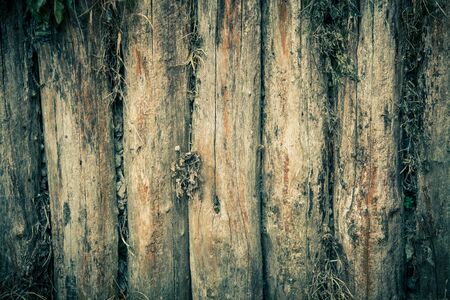 The wall of the old logs. Background. Toned.の写真素材